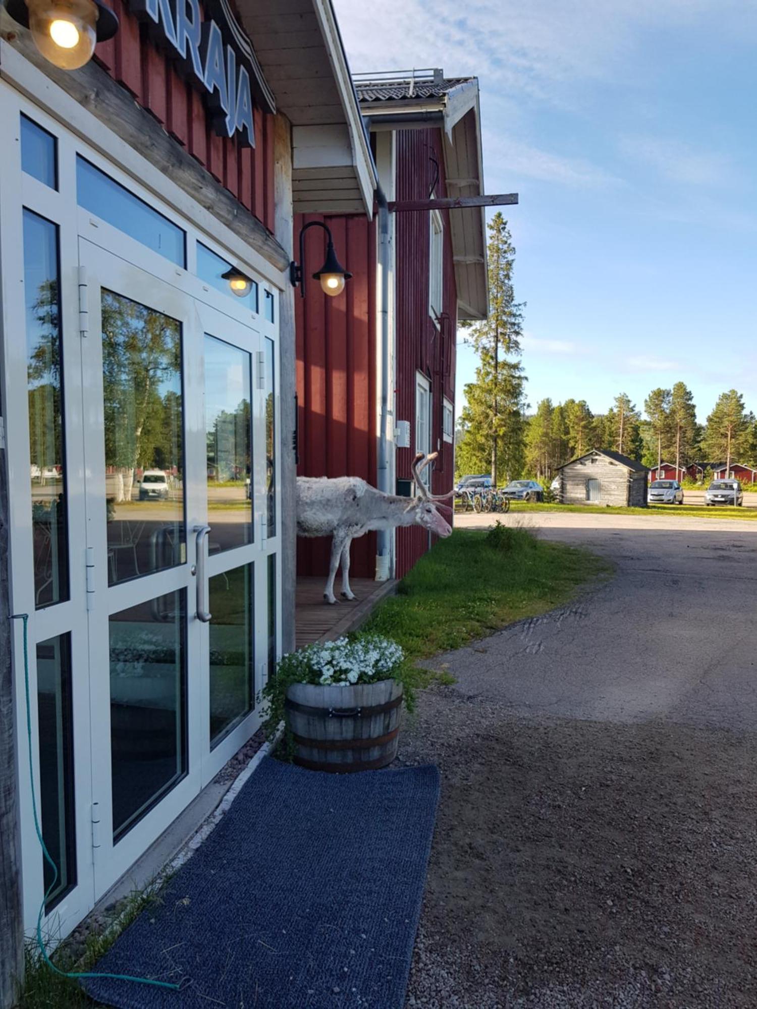 Hotel Kraja Arjeplog Exterior foto